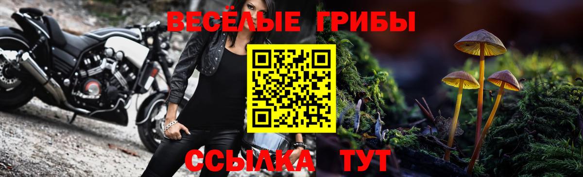 Галлюциногенные грибы Magic Shrooms Тайшет