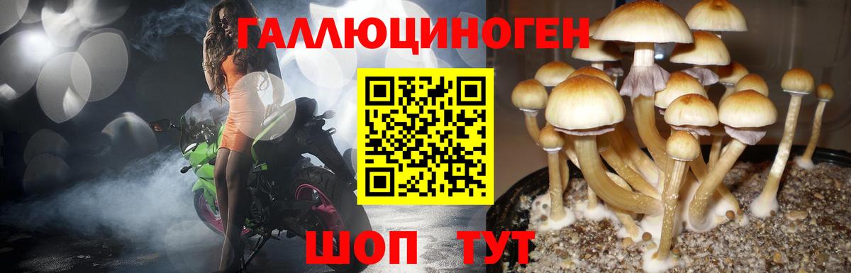 Галлюциногенные грибы MAGIC MUSHROOMS  Вход с VPN  Тайшет 
